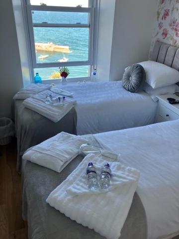 What A View Mevagissey Buitenkant foto