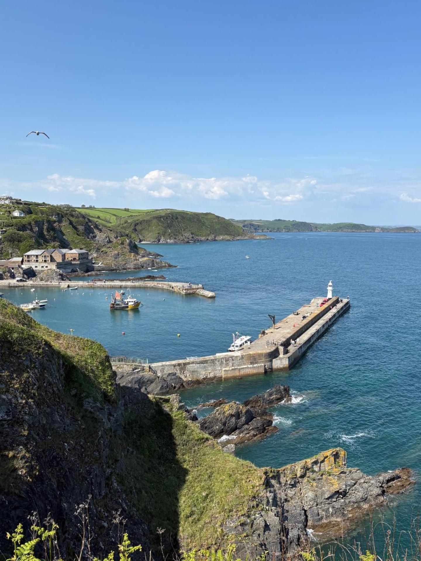 What A View Mevagissey Buitenkant foto